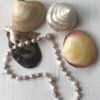 Multi Colour Pearl Necklace