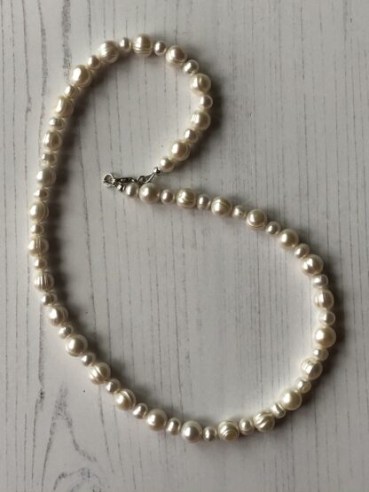 Image for Creamy white pearl necklace 3